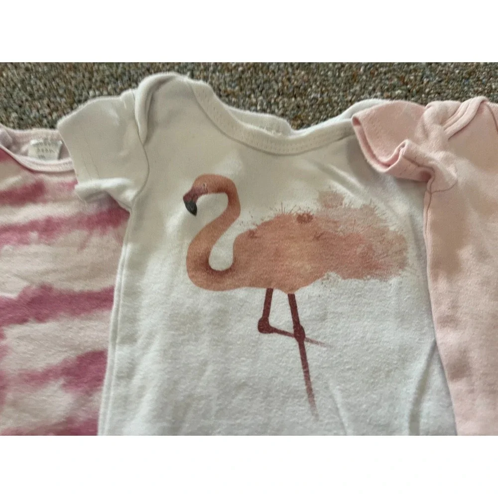 Modern Baby Girls Pink Flamingo Bundle of 3 Bodysuits 6-9M